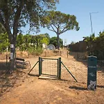 Holacamp Palamos