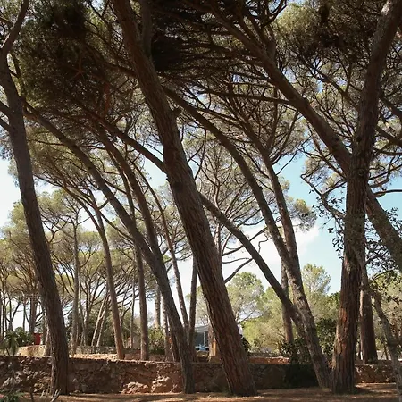 3 Estrellas Costa Brava 2*