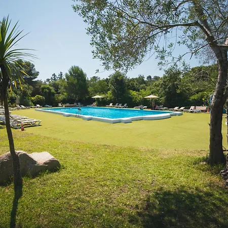 Holacamp Palamos