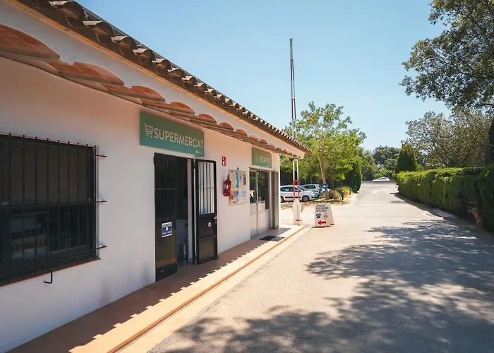 Holacamp Palamos