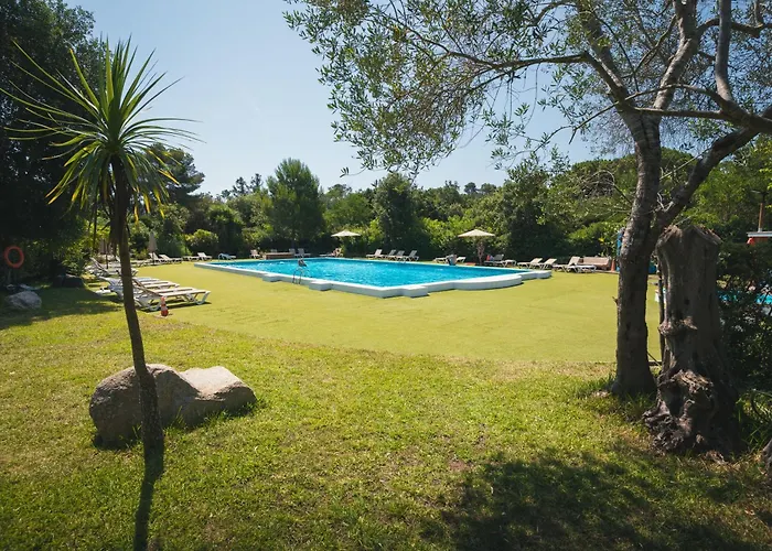 Holacamp Palamos