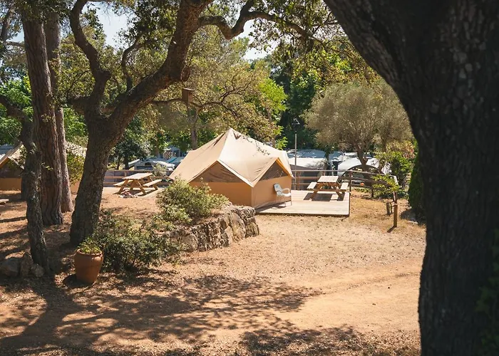 Holacamp Palamos Vall-Llobrega