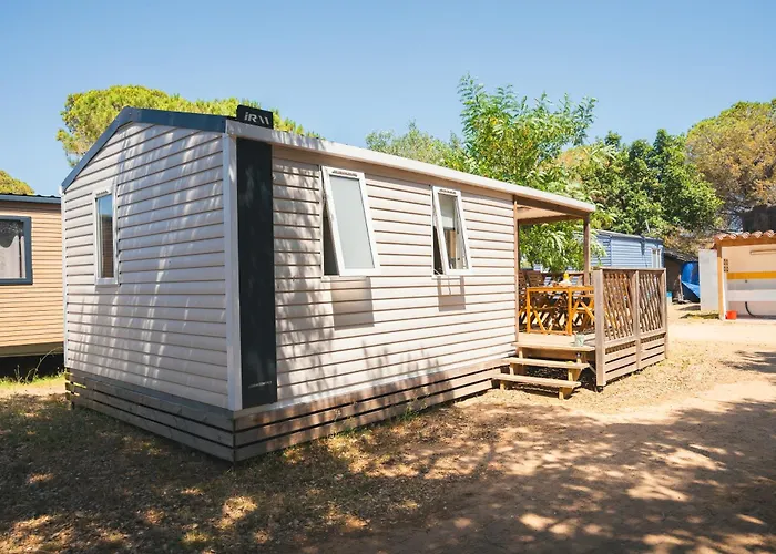 Holacamp Palamos